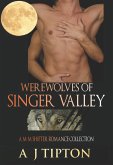 Werewolves of Singer Valley: A M-M Shifter Romance Collection (eBook, ePUB)