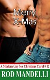 Merry X-Mas (A Modern Gay Sex Christmas Carol, #12) (eBook, ePUB)