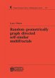 Random Geometrically Graph Directed... - Bild 1