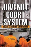 The Juvenile Court System (eBook, ePUB)