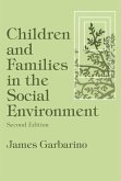 Children and Families in the Social Environment (eBook, PDF)