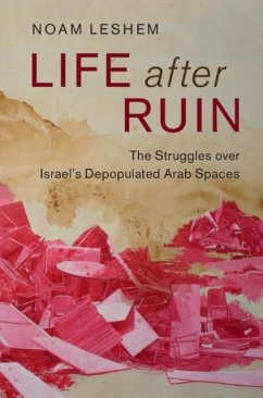 Life after Ruin (eBook, PDF) - Leshem, Noam