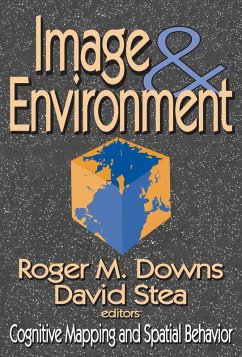 Image and Environment (eBook, ePUB) - Stea, David