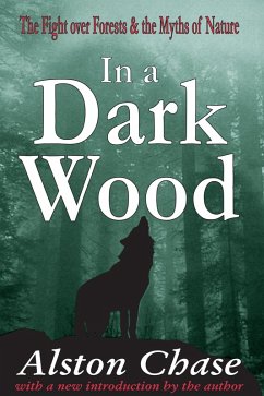 Cover In a Dark Wood (eBook, PDF)