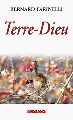 Terre-Dieu (eBook, ePUB) - Farinelli, Bernard