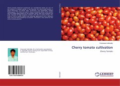 Cherry tomato cultivation - Jollireddy, Omprasad