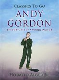 Andy Gordon The Fortunes Of A Young Janitor (eBook, ePUB)