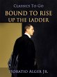 Bound To Rise Up The Ladder (eBook,... - Bild 1