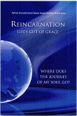 What should have been kept hidden from You: Reincarnation. Life's Gift of Grace (eBook, ePUB)