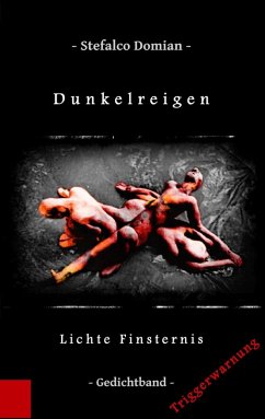 Dunkelreigen (eBook, ePUB) - Domian, Stefalco
