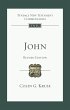John (eBook, ePUB) - Bild 1