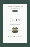 John (eBook, ePUB)