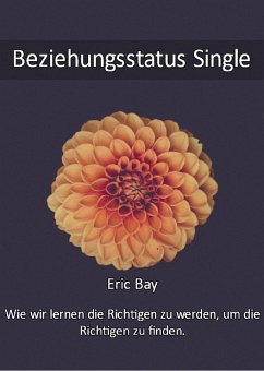 Beziehungsstatus Single (eBook, ePUB) - Bay, Eric