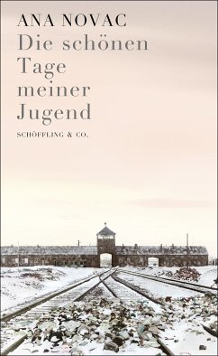 Die schönen Tage meiner Jugend (eBook, ePUB) - Novac, Ana