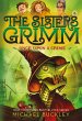 The Sisters Grimm: Once Upon a Crime... - Bild 1