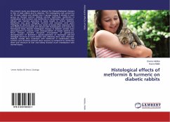 Histological effects of metformin & turmeric on diabetic rabbits