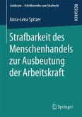 Strafbarkeit des Menschenhandels zur Ausbeutung der Arbeitskraft