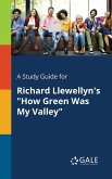 A Study Guide for Richard Llewellyn's &quote;How Green Was My Valley&quote;