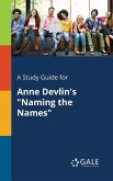 A Study Guide for Anne Devlin's &quote;Naming the Names&quote;