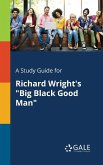 A Study Guide for Richard Wright's &quote;Big Black Good Man&quote;