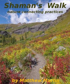 Cover Shaman's Walk (eBook, ePUB)