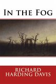 In the Fog (eBook, ePUB)