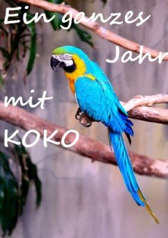 Ein ganzes Jahr mit Koko - Fee, Rosi