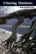 Chasing Shadows - Bild 1