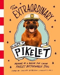 The Extraordinary Life of Pikelet - Gibson, Calley
