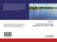 Fish & Fisheries of River Brahmaputra, Assam, India - Basumatary, Sudem;Sarma, Dandadhar