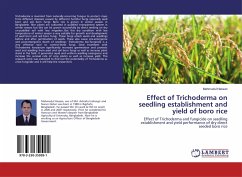 Effect of Trichoderma on seedling establishment and yield of boro rice