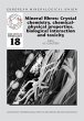 Mineral fibres: Crystal chemistry,... - Bild 1
