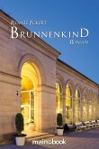 Brunnenkind (eBook, ePUB)