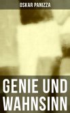 Genie und Wahnsinn (eBook, ePUB)