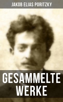 Gesammelte Werke (eBook, ePUB) - Poritzky, Jakob Elias