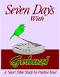 Seven Days with Gehazi (eBook, ePUB) - Bild 1