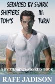 Tom's Turn (eBook, ePUB)