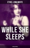 WHILE SHE SLEEPS (A Thriller Novel) (eBook, ePUB)