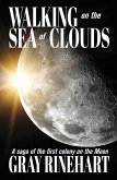 Walking on the Sea of Clouds (eBook, ePUB)