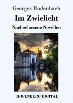 Im Zwielicht (eBook, ePUB) - Rodenbach, Georges