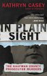In Plain Sight - Bild 1