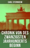 Chronik von des zwanzigsten Jahrhunderts Beginn (eBook, ePUB)