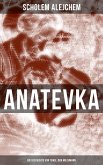 Anatevka: Die Geschichte von Tewje, dem Milchmann (eBook, ePUB)