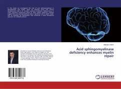 Acid sphingomyelinase deficiency enhances myelin repair - Chami, Marwan
