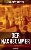 Der Nachsommer: Bildungsroman (eBook, ePUB)