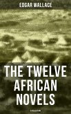 The Twelve African Novels (A Collection) (eBook, ePUB)