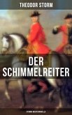 Der Schimmelreiter (Storms Meisternovelle) (eBook, ePUB)