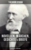 Theodor Storm: Novellen, Märchen, Gedichte & Briefe (Über 400 Titel in einem Band) (eBook, ePUB)