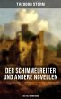 Der Schimmelreiter und andere Novellen... - Bild 1