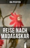 Reise nach Madagaskar (eBook, ePUB)